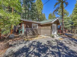 Nestled amidst towering trees, this charming cabin offers a serene escape.
