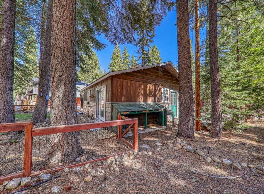 Nestled amongst towering trees, this charming cabin offers a serene escape.