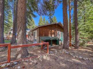 Nestled amongst towering trees, this charming cabin offers a serene escape.