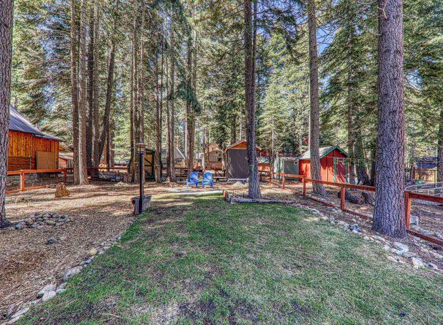 Nestled amidst towering trees, this charming property offers a serene escape.