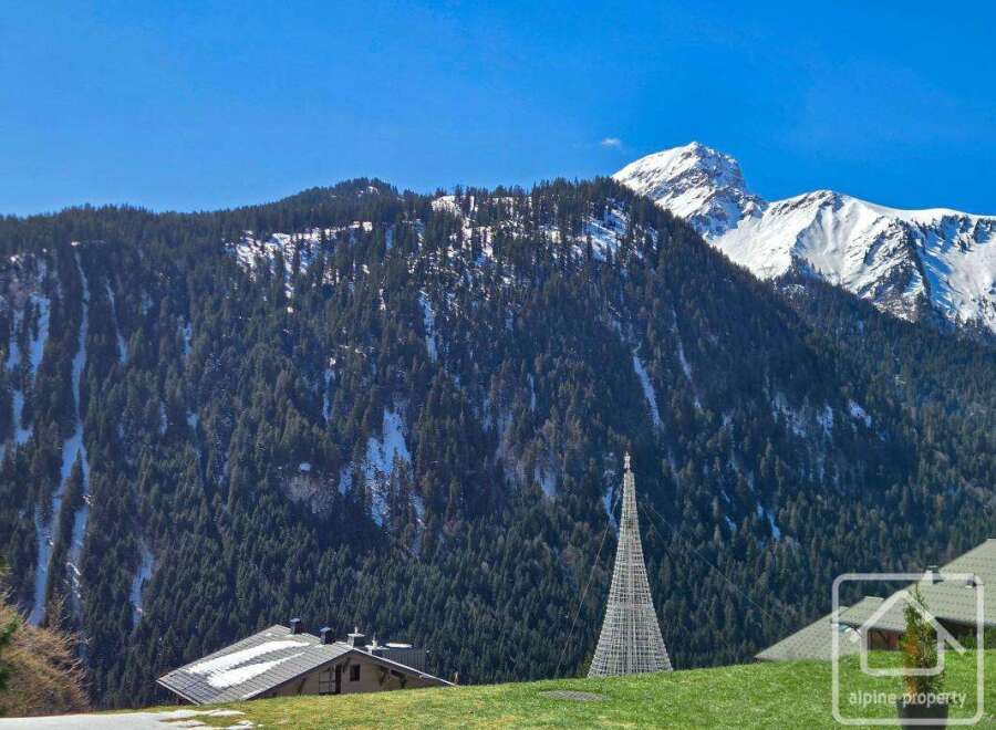 Discover your dream alpine retreat! This stunning property boasts breathtaking mountain views and a serene, natural setting.