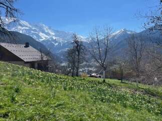 Nestled amidst the breathtaking beauty of the mountains, this charming property offers a serene escape.