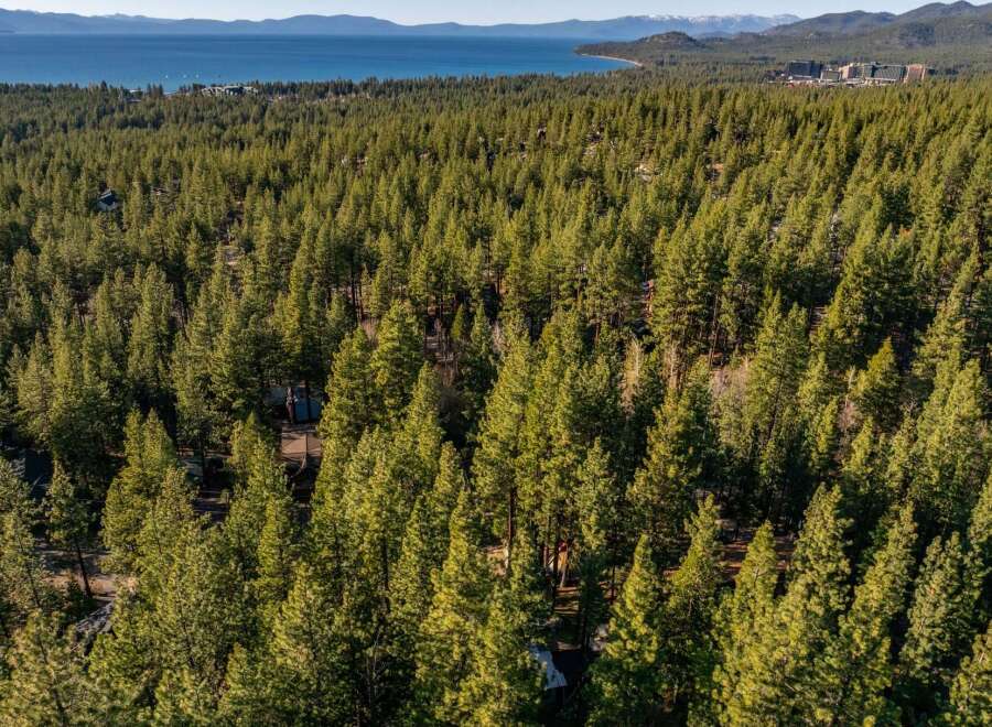 Nestled amidst a lush forest, this property offers unparalleled privacy and tranquility.