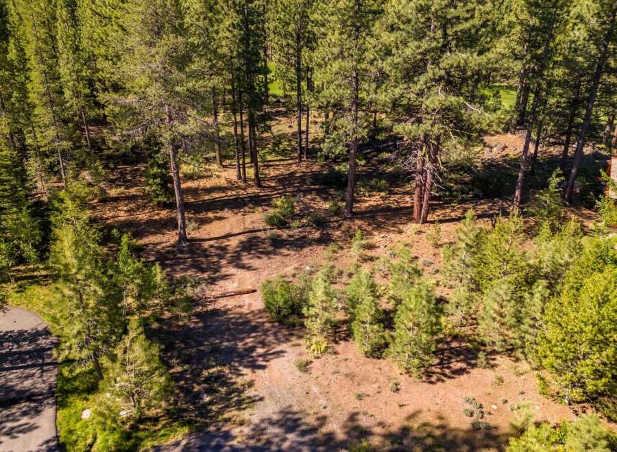 Discover the tranquility of this stunning property nestled in a lush forest setting.