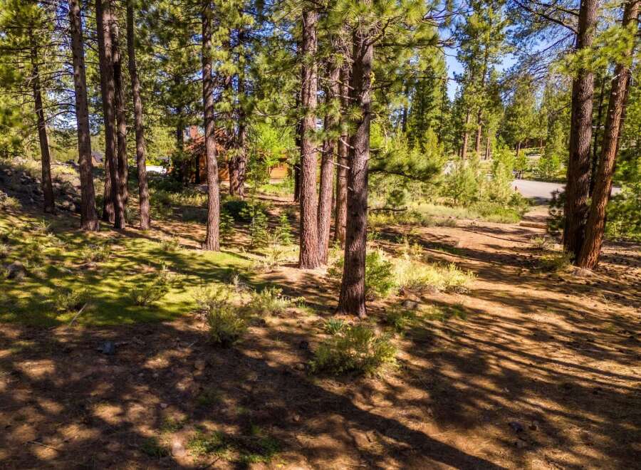 Discover the tranquility of this stunning property surrounded by towering trees and lush greenery.