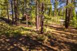 Discover the tranquility of this stunning property surrounded by towering trees and lush greenery.