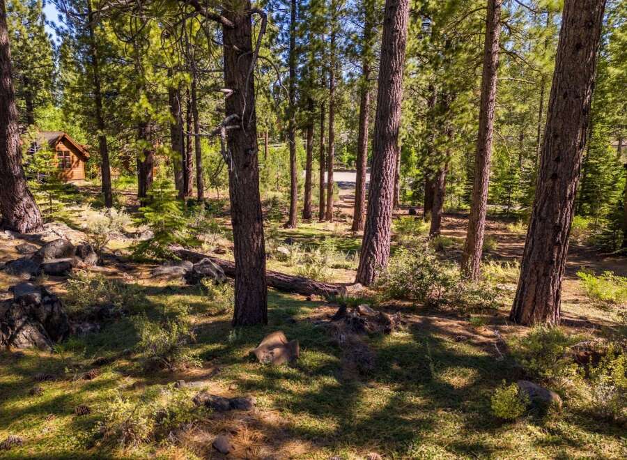 Nestled in a serene forest setting, this property offers a tranquil escape.