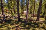 Nestled in a serene forest setting, this property offers a tranquil escape.