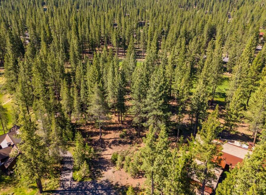 Discover the tranquility of this stunning property nestled amidst a lush forest.