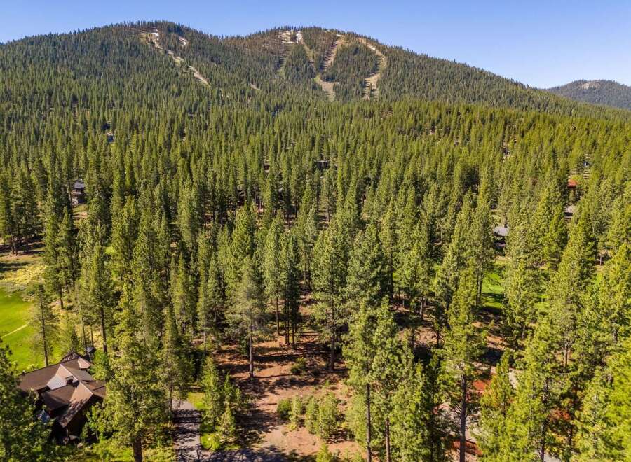 Nestled amidst a lush forest, this property offers unparalleled privacy and tranquility.