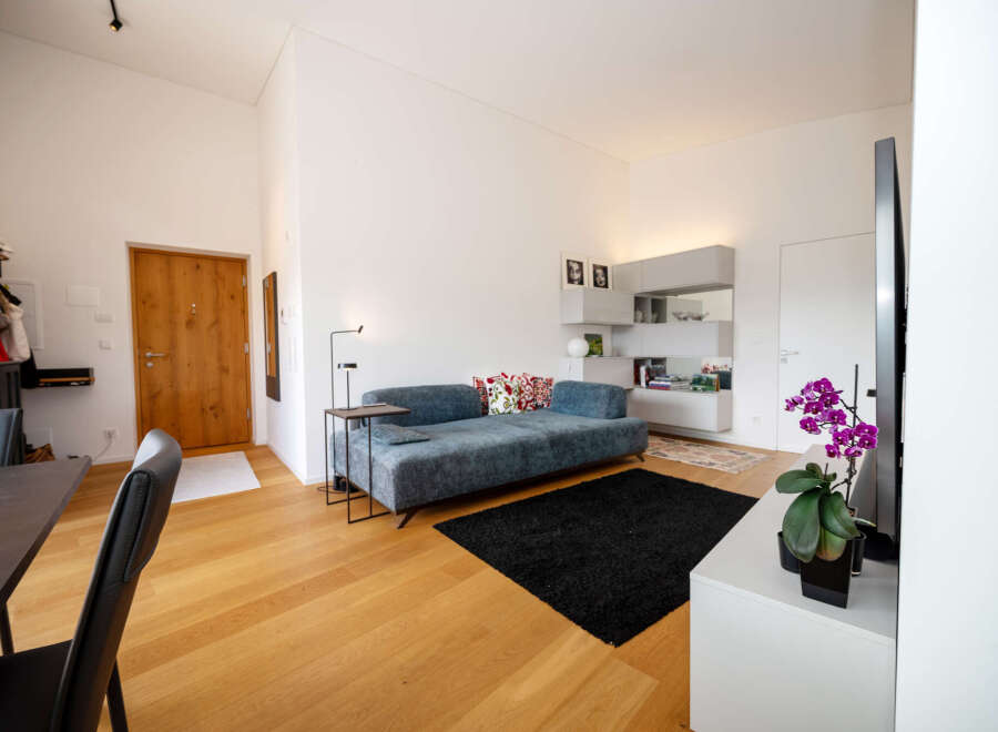 This modern living space boasts a sleek design with a comfortable sofa and a stylish black rug.