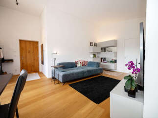 This modern living space boasts a sleek design with a comfortable sofa and a stylish black rug.