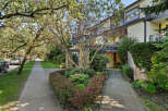 Discover the charm of this beautiful property, featuring lush landscaping and a welcoming entrance.