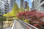 Discover urban living at its finest with this stunning property, featuring a serene bridge surrounded by vibrant red and yellow trees.