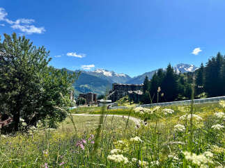 Discover breathtaking mountain views from this stunning property! This home offers a serene escape with lush greenery and a backdrop of snow-capped peaks.