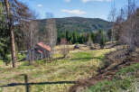 Discover a charming property nestled in a serene natural setting.
