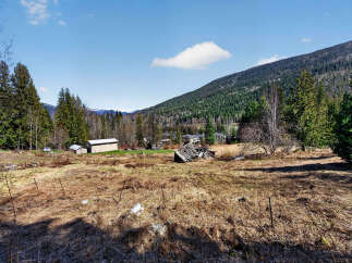 Discover the tranquility of this expansive property, perfect for building your dream home or a peaceful retreat.