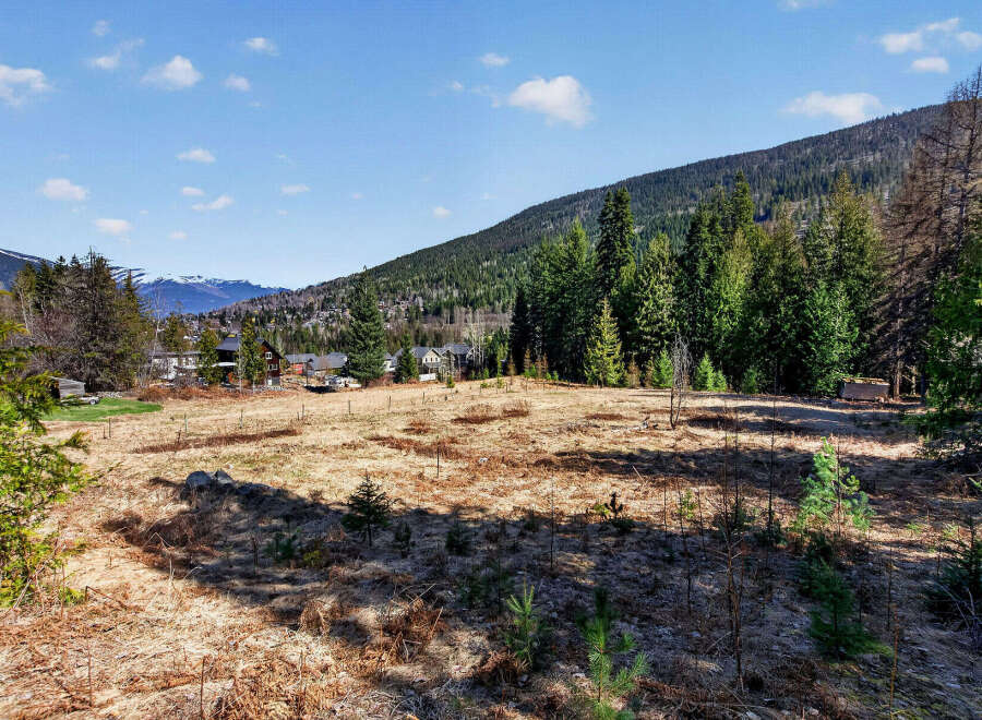 Discover the potential of this expansive, undeveloped land, perfect for building your dream home or investment property.