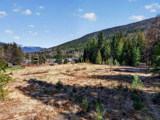 Discover the potential of this expansive, undeveloped land, perfect for building your dream home or investment property.
