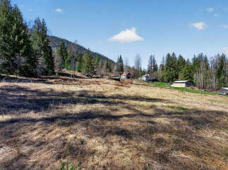 Discover the tranquility of this expansive property, perfect for building your dream home or a serene retreat.