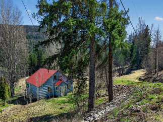 For Sale in Nelson