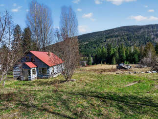 For Sale in Nelson