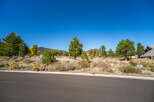 Discover the beauty of this stunning property surrounded by lush greenery and a vibrant blue sky.