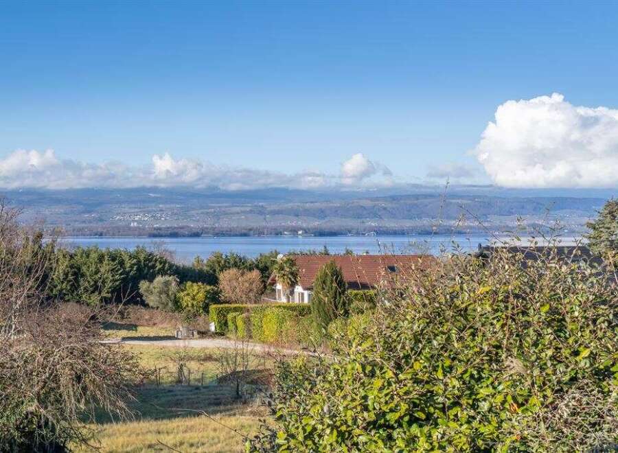 Enjoy stunning views from this beautiful property! This home features a charming exterior and is surrounded by lush greenery.