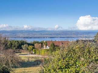 Enjoy stunning views from this beautiful property! This home features a charming exterior and is surrounded by lush greenery.