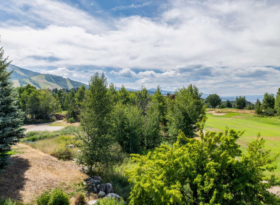Enjoy breathtaking views of the mountains and lush greenery from this stunning property.