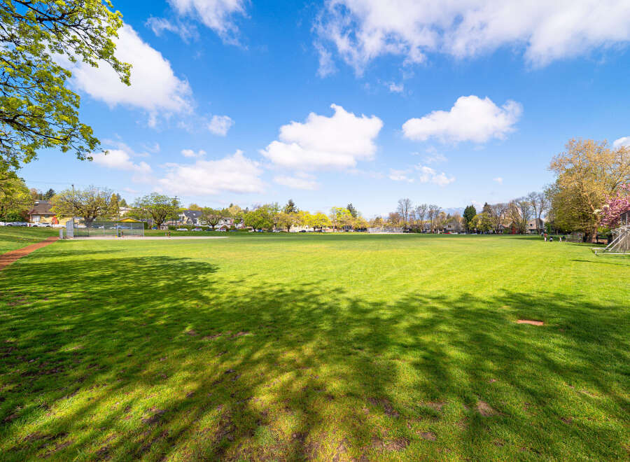 Enjoy the expansive green space of this beautiful park, perfect for outdoor activities and relaxation.