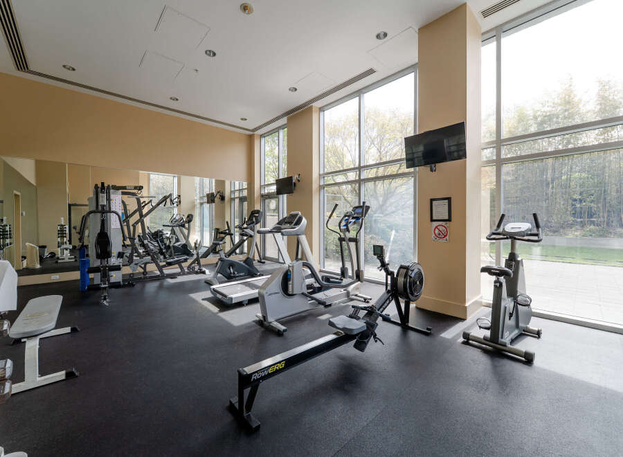 This modern gym offers a variety of workout equipment, including treadmills, ellipticals, and free weights.