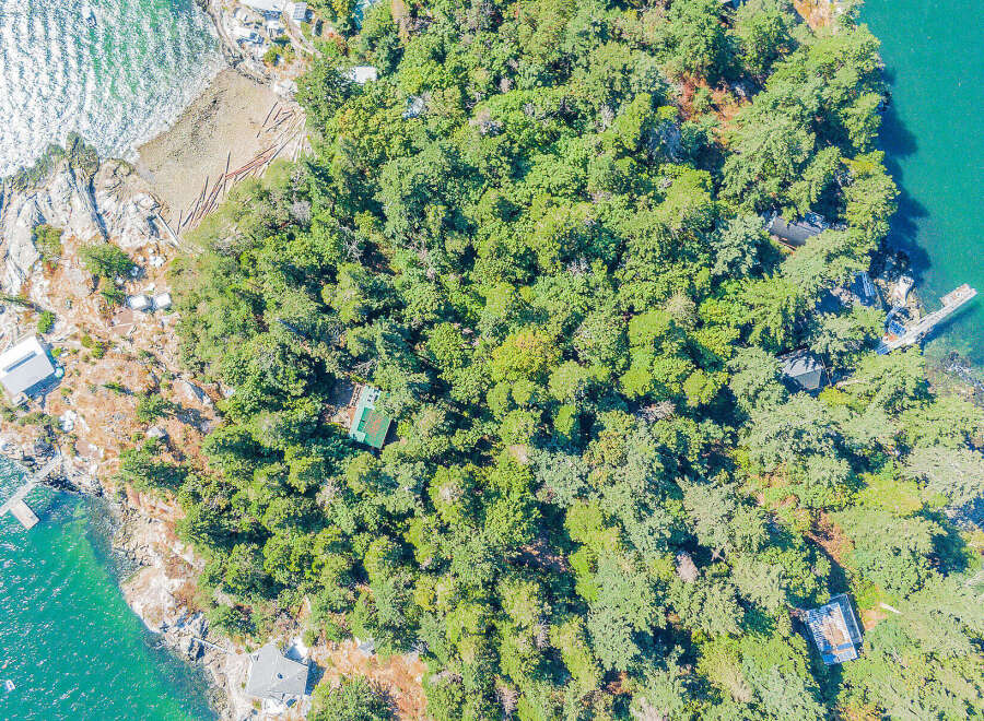 Discover a secluded waterfront property nestled amidst lush greenery.