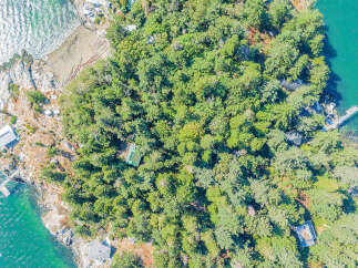 Discover a secluded waterfront property nestled amidst lush greenery.