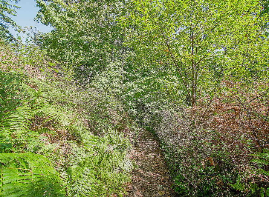 Discover the tranquility of nature with this stunning property.