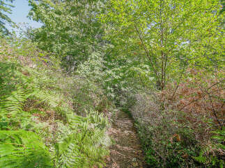 Discover the tranquility of nature with this stunning property.