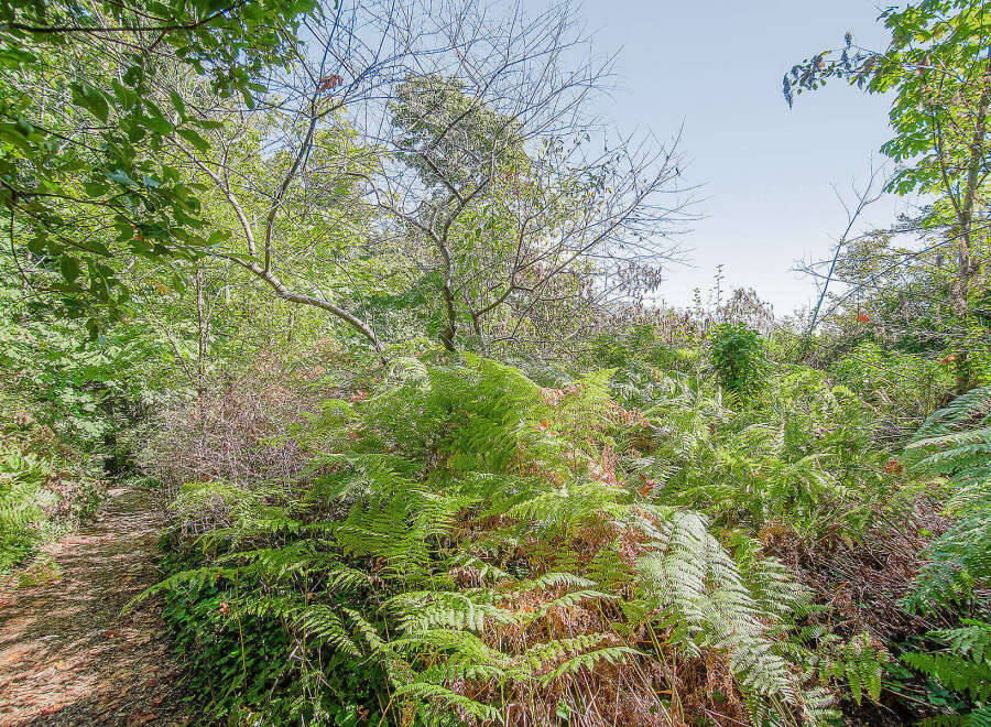 Discover the tranquility of nature with this stunning property.
