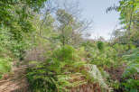 Discover the tranquility of nature with this stunning property.