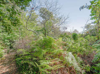 Discover the tranquility of nature with this stunning property.
