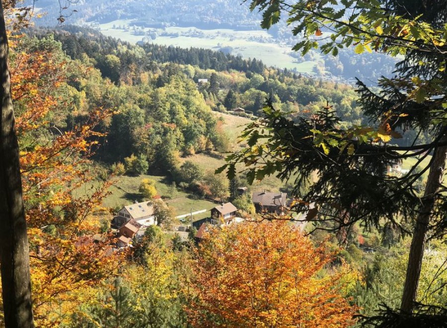 Nestled in the heart of the Swiss Alps, this charming chalet offers breathtaking panoramic views.