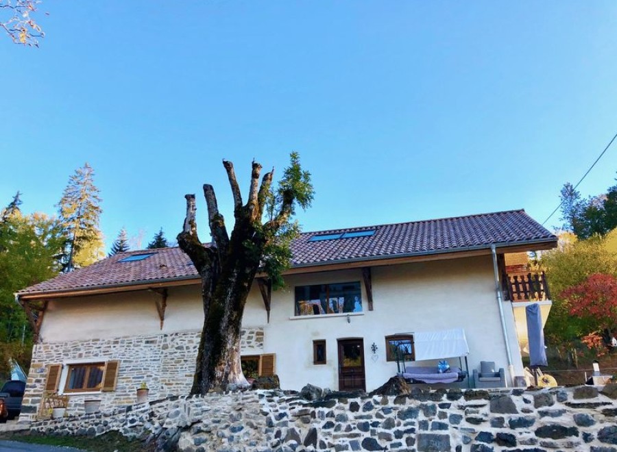 Charming stone house nestled in the French countryside, featuring a unique tree and a newly renovated roof.