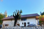 Charming stone house nestled in the French countryside, featuring a unique tree and a newly renovated roof.