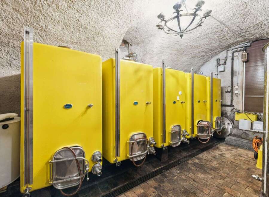 Explore this unique property featuring a wine cellar with multiple yellow fermentation tanks.