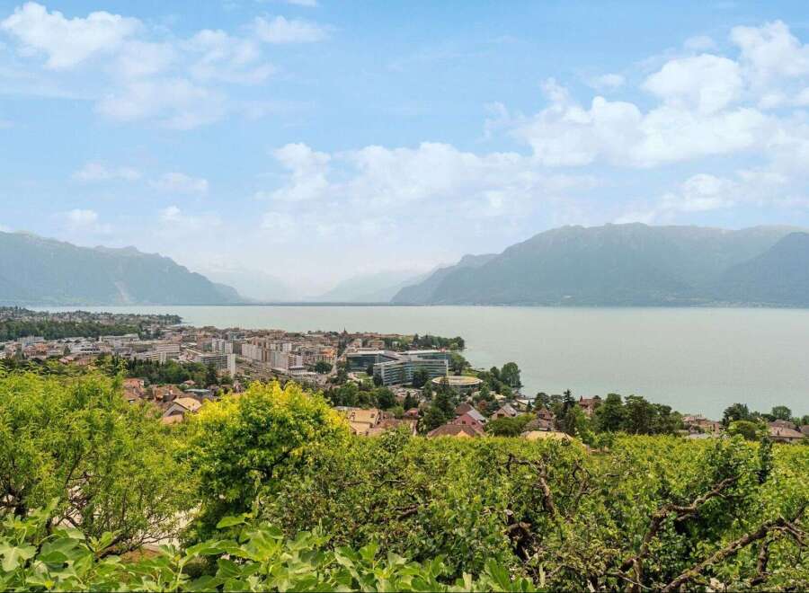 Enjoy breathtaking views of the lake and mountains from this stunning property.