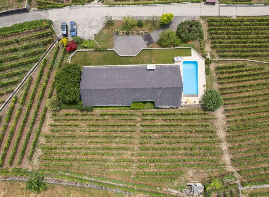 Discover a stunning property nestled amidst picturesque vineyards.