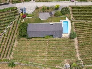 Discover a stunning property nestled amidst picturesque vineyards.