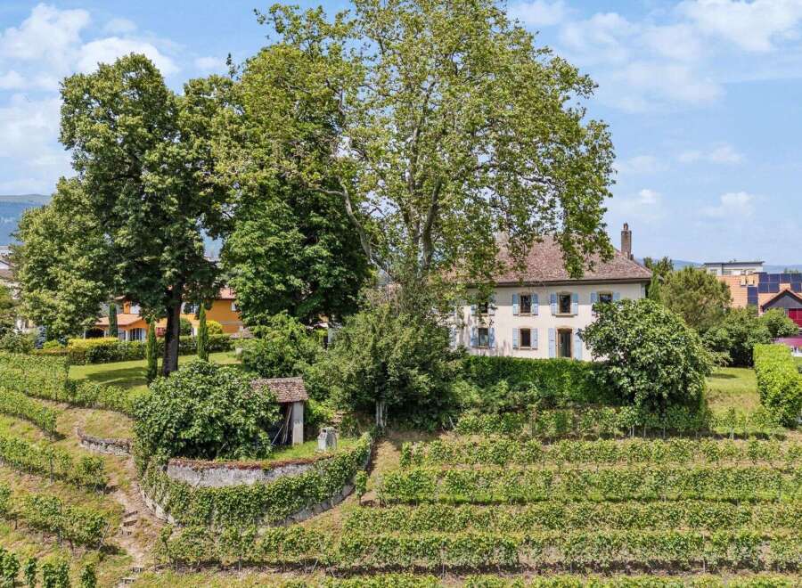 Discover this charming property nestled amidst lush vineyards, offering a serene escape.