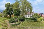 Discover this charming property nestled amidst lush vineyards, offering a serene escape.