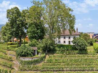 Discover this charming property nestled amidst lush vineyards, offering a serene escape.