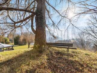 Discover the tranquility of this stunning property, nestled amidst nature's beauty.